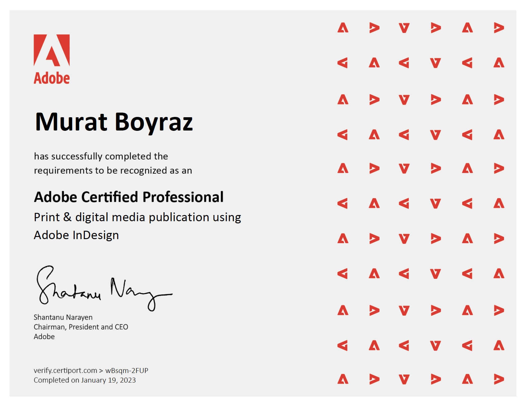 adobe certified professional